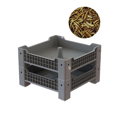 Kotak pp plastik pembiakan cacing makan